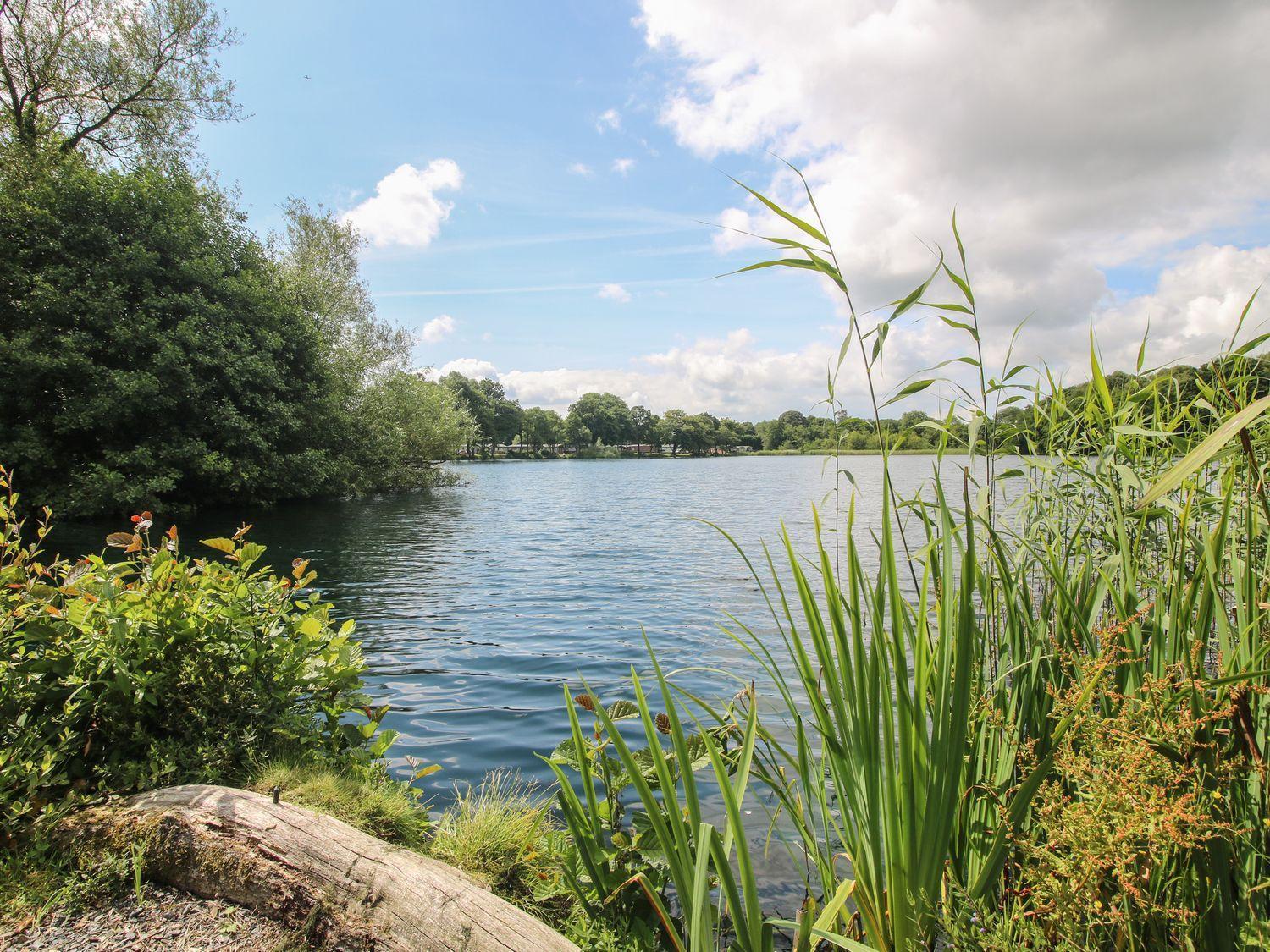 Swan Villa Leominster Bagian luar foto