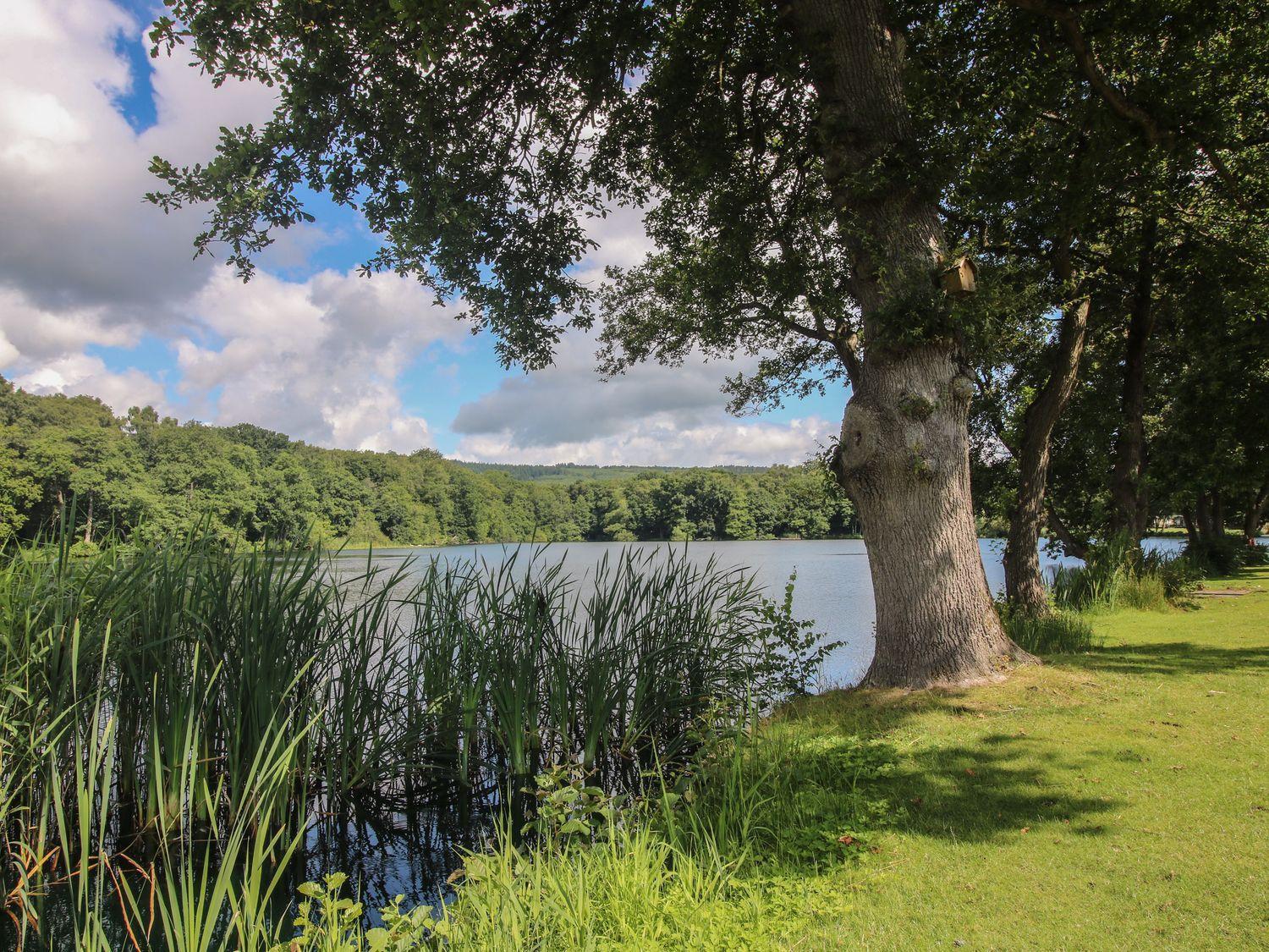 Swan Villa Leominster Bagian luar foto